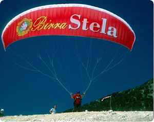 Paraglider with a Stella logo on